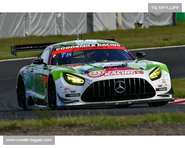 轮胎管理策略对比：IMSA单一配方与WEC多配方赛事差异