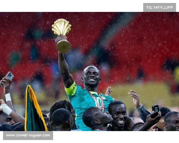 非洲杯决赛混乱事件回顾，球员裁判冲突过程梳理